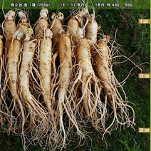 금산인삼도매센터 원수삼 중 수삼, 1팩, 750g