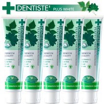 덴티스테 플러스화이트 튜브 200g 5개 치약