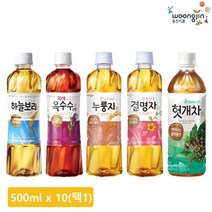 웅진식품 [웅진식품] 차음료 500ml x 10페트 (하늘보리/자색옥수수차/누룽지차/결명자차/헛개차 중 택1), 하늘보리