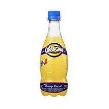 롯데칠성 오랑지나 420ml X 24pet