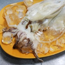아이홈푸드 [바다의행복] 국내산 반건조 갑오징어 (중) 1팩, 1