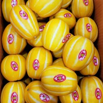 성주 꿀 참외 산지직송 고당도, 2.5kg(중과), 1박스