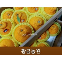 고당도 하우스 한라봉 명절세트 한시적 무조건 당일발송 당도보장, 선물고급5kg중대과(17~18과)