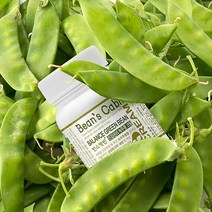 빈스캐빈 녹두콩 수분크림 단품 / 천연성분90% 오일프리 수분크림 / 80g