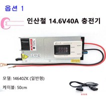 12V 40ah 한전충전기 리튬인산철 배터리 파워뱅크 스마트충전기, 옵션 1