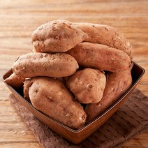 호박고구마 10kg 못난이