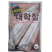 대학찰옥수수종자80립 괴산옥수수씨앗 연농1호, 80립, 1개