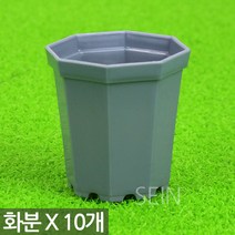팔각 미니화분 화이트 X 10개 - 플라스틱 화분 다육이화분 어린이집 유치원 어린이 식목일 행사 플분 다육 선인장 식물 모종 삽목 인테리어 홈 가드닝