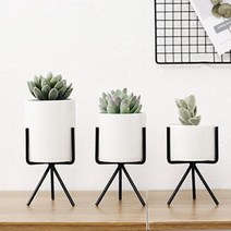 블랙 철제다리 화이트 도자기화분 인테리어 효과 업