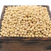 지투지샵 백태(메주콩) 1kg