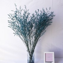 프리저브드플라워 프리저보드플라워박스 디퓨저 돔 미니 재료 30 35g 마른 연인 잔디, 30-35g 나