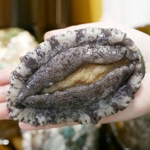 완도전복 1kg 9-10마리 선물용활전복(생산자 직송)