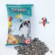 [파도반] 썬씨드 - 앵무새용 해바라기씨 500g
