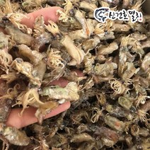 신건호멸치 직접잡은 햇 꼴뚜기(상급) / 반찬 마른안주 건꼴뚜기, 1box, 1.5kg