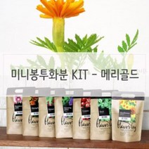 GYS112751대박할인키우기쉬운식물 미니 방수화분 재배 세트 메리골드, 키우기쉬운식물 미니 방수화분 재배 세트 메리골드