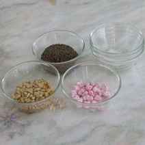 체코 유리볼 화채볼 요거트 디저트볼 쿠프 11cm 6개_233277EA, 본상품선택, 본상품선택