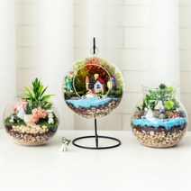 테라리움 향기나는 인테리어 화분 만들기 DIY 키트, 2. 토토로 비밀의숲, 1개