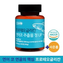 식약처 인증 프로테오글리칸 연어코 추출물 정 UP 구절초 보스웰리아 (알약케이스 사은품), 5통, 60정