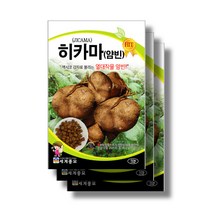 히카마씨앗 50립x3 jicama seeds, 50립x9
