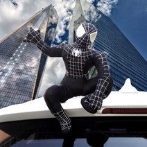 자동차 인형 악세사리, 스파이더맨 블랙(35cm)