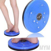 마이몰12 스트레칭 트위스트 원판 몸통돌리기 트위스트운동기구