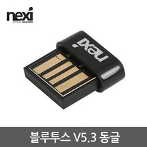 넥시 블루투스 USB 동글 V5.3 (NX1310), NX1310