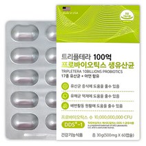 람노스 유산균 lgg 유당없는유산균 알약 형태 임산부 락토바실러스 가세리 람노서스 분양, [10%할인] 3박스
