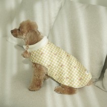 초코디 강아지 패딩 캔디 체크패딩 소형견 중형견 맞춤제작, 옐로우