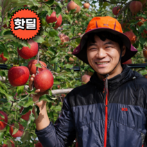 고당도 감홍 홍로 흠집 못난이 제철 사과 햇부사 5kg 10kg, 최상품(한입), 5kg 소 (18-22과내외)