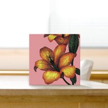 [천삼백케이] [그래픽아트 휴] 미니안드라(15x15cm), A