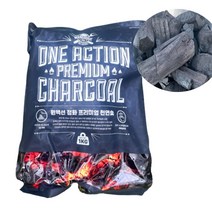 [소공원] 3초점화숯 바베큐 캠핑용 브리켓 숯불 초보자 불이잘붙는 천연 원터치, 1kg