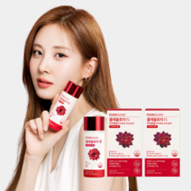 [푸드올로지] 콜레올로지컷 콜레올로지 티 시그니처 기획, 1개월 세트, 콜레올로지컷1병+콜레티2박스, 1세트