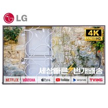 LG 75인치(190cm) 75UH5E 4K UHD 샤이니지 상업용TV 매장방문수령, 01_매장방문수령