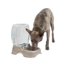 Petmate Pet Cafe 중력 급수기 고양이 및 개 물 펄 애쉬 블루 4.8L 1.5갤런 미국 제조, 1.5 GAL_Pearl Tan, Pearl Tan_1.5 GAL