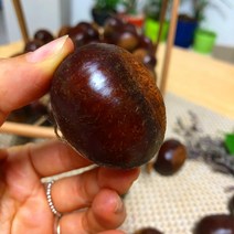 충주밤 소태밤 옥광 이평 석추 햇밤 1kg, 석추밤 특 1kg 1/25발송