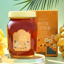 플로비즈 100% 천연벌꿀 1.2kg, 용안꽃꿀 1.2kg, 1개