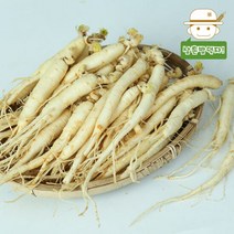 향깊은 금산 삼계탕/갈비탕용 세척 인삼(중) 700g, 단품