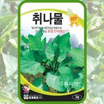 취나물 3g / 민속채소 씨앗 토종참취 나물 쌈용