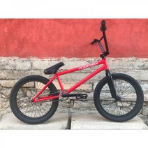 BMX 페그 입문용 묘기자전거 151035 무적의 가격 홈 v4 차량 전체 베어링 풀 크롬 몰리브덴 스틸 전문 드라이버가 직접 테스트, 표준 기본 구성
