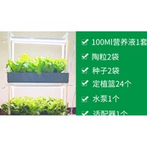 가정용 수경 식물 콩나물 야채 재배기 채소키우기 콩나물키우기 미니온실 스마트팜, 2층 수경재배(물 순환) B