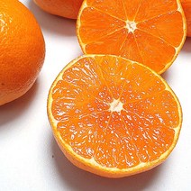 신품종 고당도 제주 설국향 수라향 신비향 당도선별 제주감귤, 3kg, 1개
