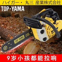 엔진톱 일본 수입 소형 가정용 로깅 톱 고출력 가솔린 12 인치 한손 핸드 헬드 대나무, [06] 4스트로크 14인치 T930 오리지널 체인 2