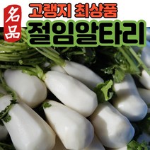 (최상품) 절임알타리 강원도 고랭지 고냉지 국산 김장용 절임 절인 알타리 알타리무 알타리무우 손질 절임세트 절임무 총각무 총각무우 무우절임 5kg 10kg, (1) 알타리 절임 5kg