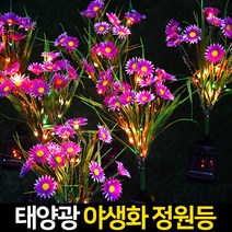 신성나라 태양광 꽃 정원등 LED 조화 꽃조명 화단 정원 베란다 꾸미기 야외등 유채꽃 핑크뮬리 잔디정원등, 07.태양광야생화정원등, 화이트