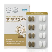 애터미 터마신 MSM 128정, 256정, 725mg