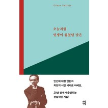 오늘처럼 인생이 싫었던 날은:세사르 바예호 시선집, 다산책방, 세사르 바예호