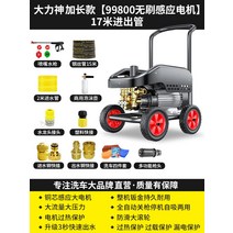 고압세차기 고압세척기 세차건 검은 고양이 세인트 일반 자동차 세탁기 가정용 220V 물총 워터 펌프 브러시 유물 강력한 바닥 잡아, 15. Daliwang Extra Long 모델 [99