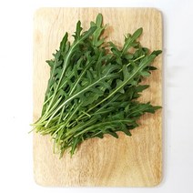 와일드루꼴라 50g 베이비루꼴라 ( 국내산 ), 단품