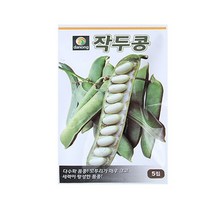 미미네가든 작두콩 씨앗 (5립) -텃밭 채소 키우기, 단품