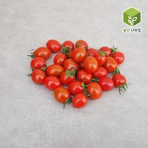 방울토마토 대추방울토마토 3과 중크기 5kg 1box, 1개